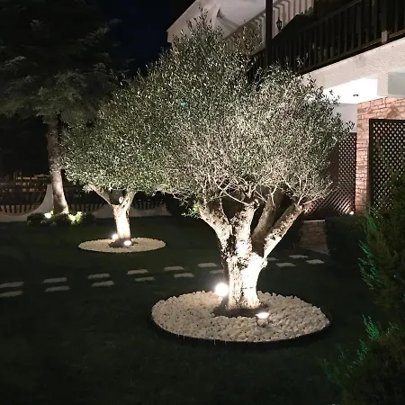 Amaryllis House פלטמונס