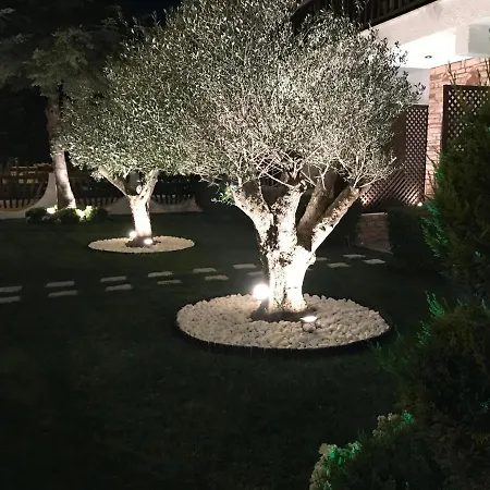 Amaryllis House פלטמונס