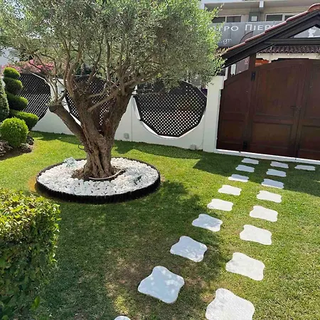 Amaryllis House פלטמונס