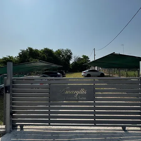 Amaryllis House 公寓 *