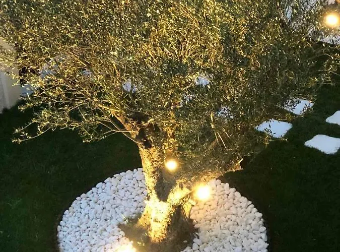 Amaryllis House * Platamonas